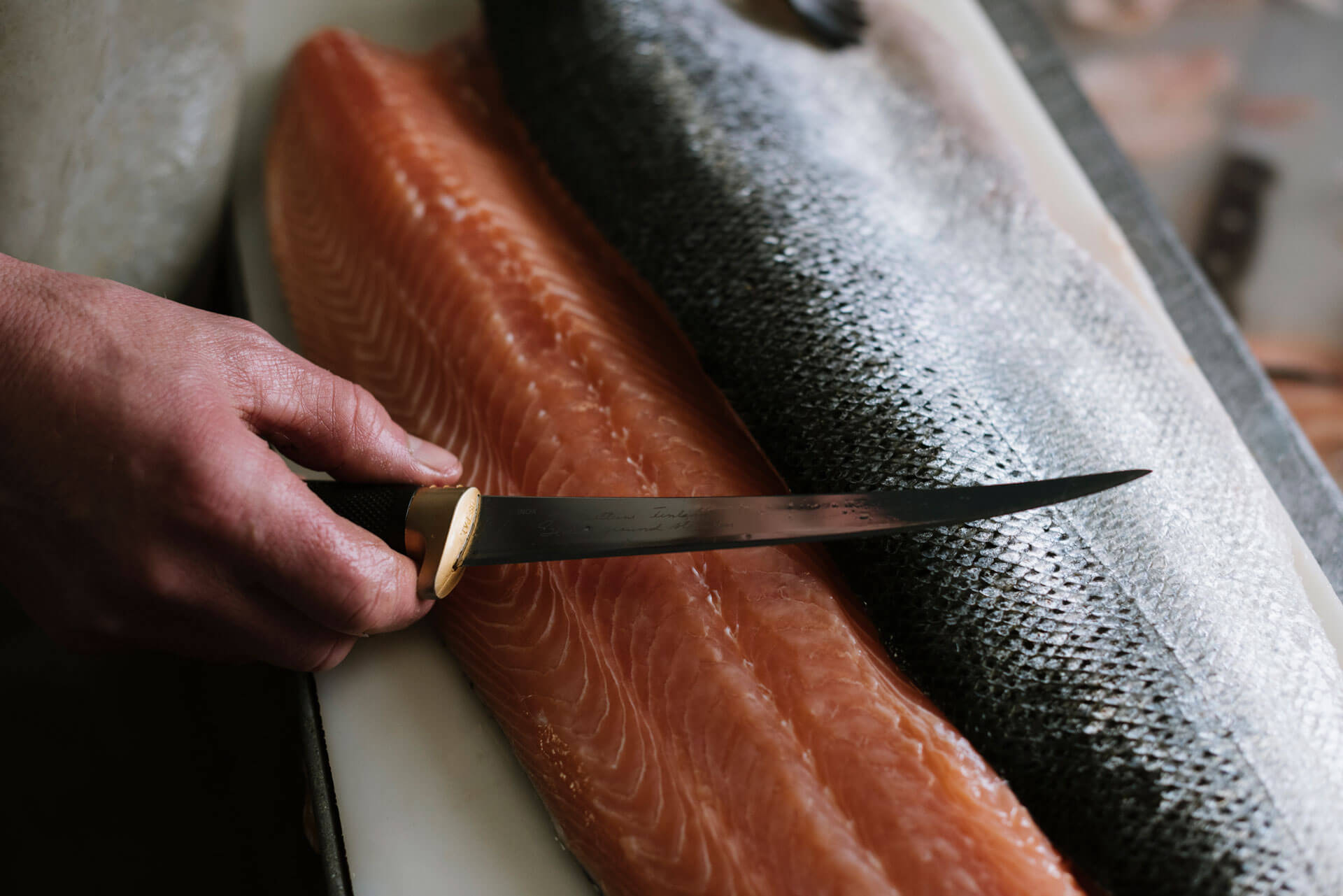 Freshly caught salmon being filleted in preparation for smoking.