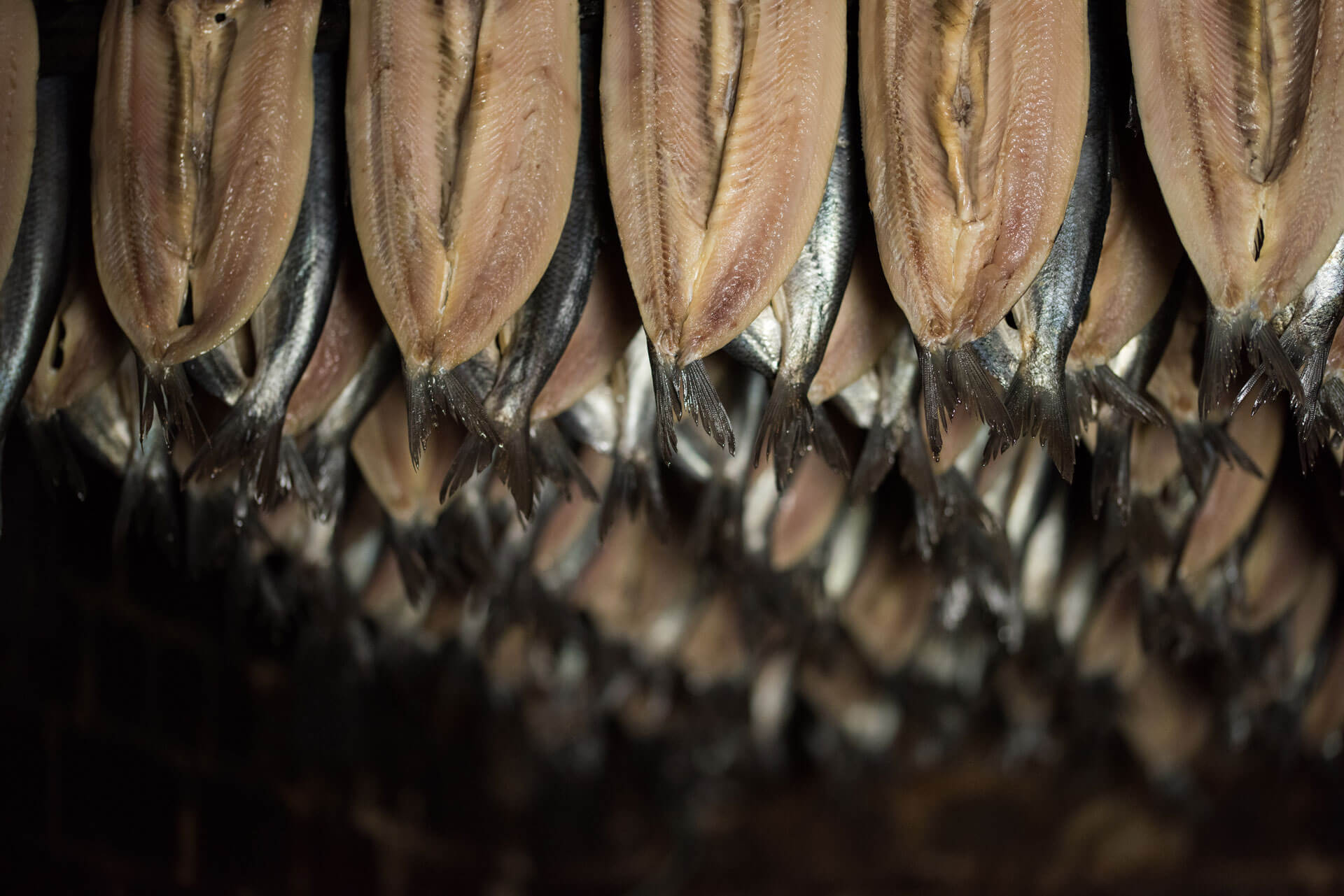 Oak Smoked Mallaig Kippers awarded 3 Gold Stars by the Guild of Fine Food - Jaffy's Smokehouse